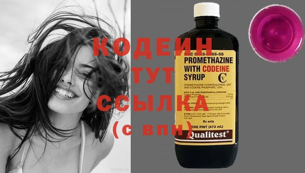эйфоретик Алзамай