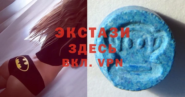 СК Алексин