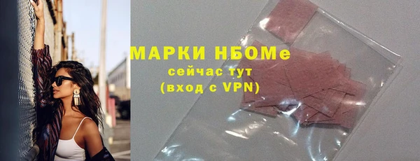 СК Алексин