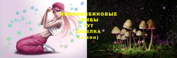 эйфоретик Алзамай