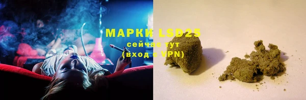 СК Алексин