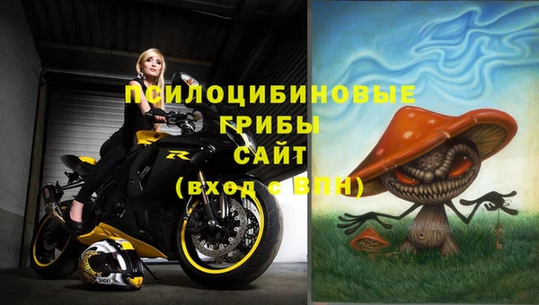 эйфоретик Алзамай