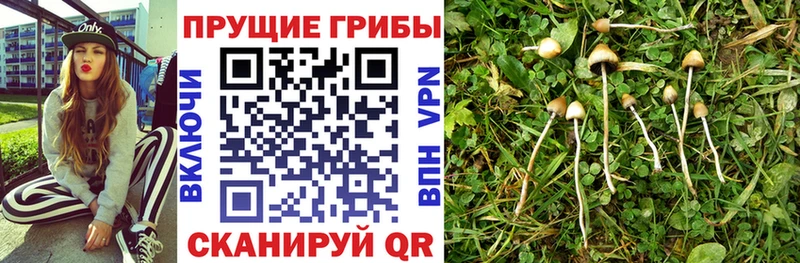 хочу   Ардон  Псилоцибиновые грибы ЛСД 